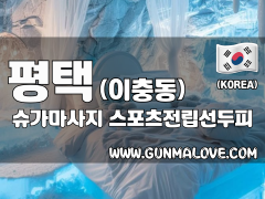 평택 이충동 [슈가마사지] 이미지