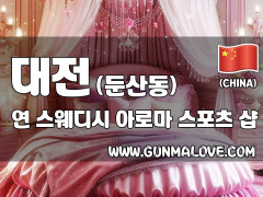 대전 둔산동 [연] 이미지