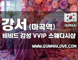 강서 마곡역 [비비드] 이미지