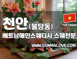 천안 불당동 [베트남메인스웨디시] 이미지