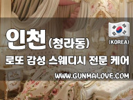 인천 청라동 [로또] 이미지