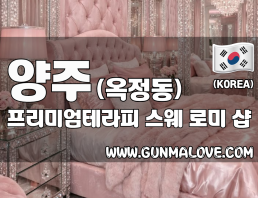 양주 옥정동 [프리미엄테라피] 이미지