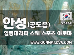 안성 공도읍 [힐링테라피] 이미지