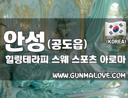 안성 공도읍 [힐링테라피] 이미지