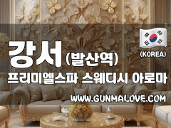 강서 발산역 [프리미엘스파] 이미지