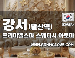강서 발산역 [프리미엘스파] 이미지