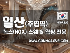 일산 주엽역 [녹스] 이미지