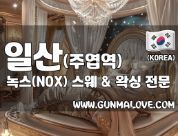 일산 주엽역 [녹스] 이미지