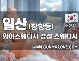 일산 장항동 [와이스웨디시] 이미지
