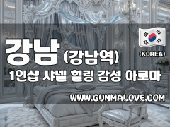 강남 강남역 1인샵 [샤넬] 이미지