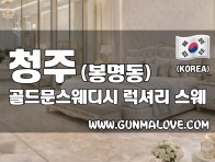 청주 봉명동 [골드문스웨디시] 이미지