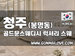 청주 봉명동 [골드문스웨디시] 이미지
