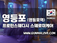 영등포 영등포역 [프로틴스웨디시] 이미지