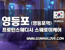 영등포 영등포역 [프로틴스웨디시] 이미지