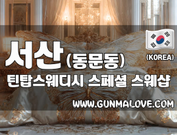 서산 동문동 [틴탑스웨디시] 이미지