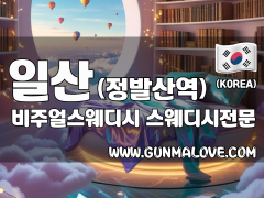 일산 정발산역 [비주얼스웨디시] 이미지