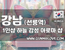 강남 선릉역 1인샵 [하늘] 이미지