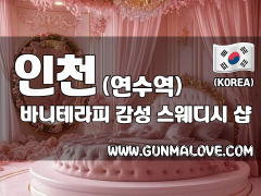 인천 연수역 [바니테라피] 이미지