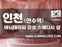 인천 연수역 [바니테라피] 이미지