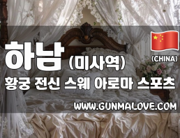 하남 미사역 [황궁] 이미지