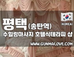 평택 송탄역 [수힐링마사지] 이미지