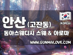 안산 고잔동 [동아스웨디시] 이미지