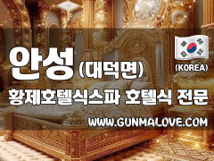 안성 대덕면 [황제호텔식스파] 이미지