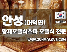 안성 대덕면 [황제호텔식스파] 이미지