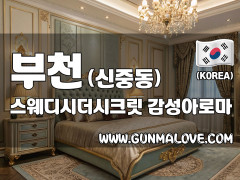 부천 신중동 [스웨디시더시크릿] 이미지