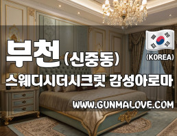 부천 신중동 [스웨디시더시크릿] 이미지