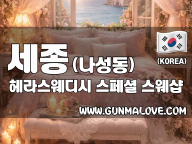 세종 나성동 [헤라스웨디시] 이미지