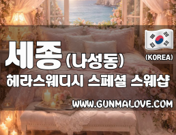 세종 나성동 [헤라스웨디시] 이미지