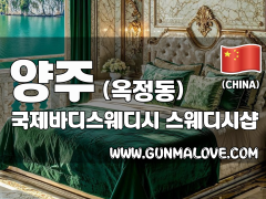 양주 옥정동 [국제바디스웨디시] 이미지