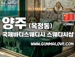 양주 옥정동 [국제바디스웨디시] 이미지