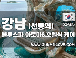 강남 선릉역 [블루스파] 이미지