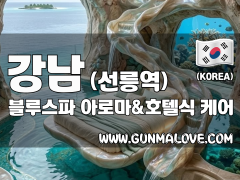 강남 선릉역 [블루스파] 이미지