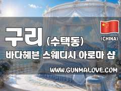 구래 수택동 [바다헤븐] 이미지