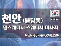 천안 불당동 [필스웨디시] 이미지