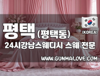 평택 평택동 [24시강남스웨디시] 이미지