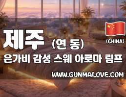 제주 연동 [은가비] 이미지