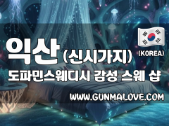 익산 신시가지 [도파민스웨디시] 이미지