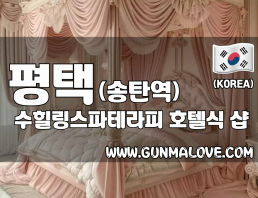 평택 송탄역 [수힐링스파테라피] 이미지
