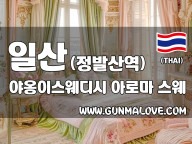일산 정발산역 [야옹이스웨디시] 이미지