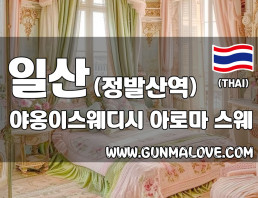 일산 정발산역 [야옹이스웨디시] 이미지