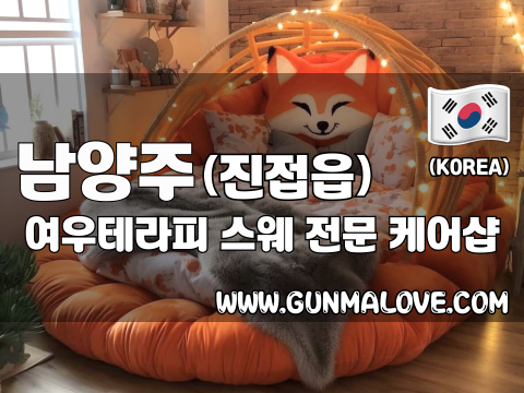 남양주 진접읍 [여우테라피] 이미지