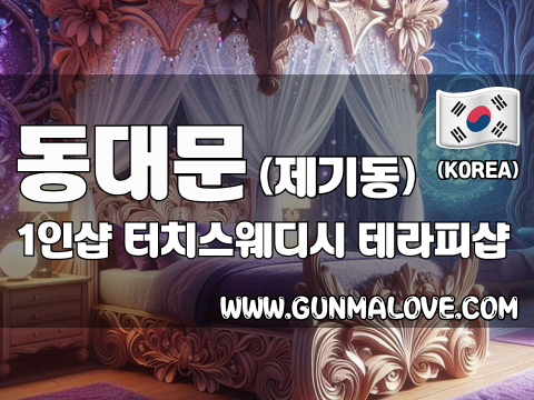 동대문 제기동 1인샵 [터치스웨디시] 이미지