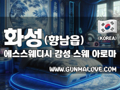 화성 향남읍 [에스스웨디시] 이미지