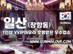 일산 장항동 1인샵 [VVIP아우라] 이미지