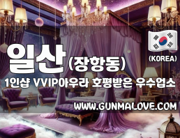 일산 장항동 1인샵 [VVIP아우라] 이미지