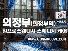 의정부 의정부역 [일프로스웨디시] 마사지